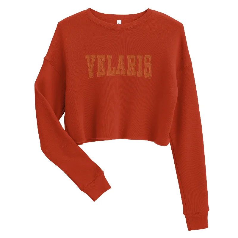 velaris varsity embroidered crop sweatshirt (brick)